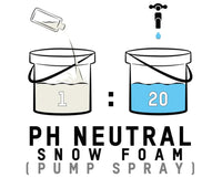 Valet Pro pH Neutral Snow Foam